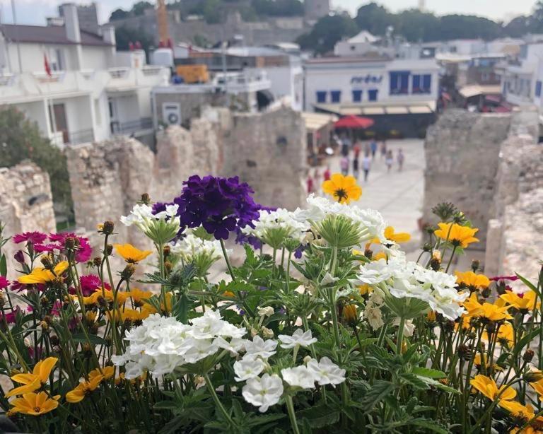 Houses Of Socrates - Manzara Appartement Bodrum Buitenkant foto